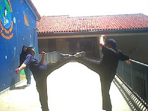 double_rabiz_kick.jpg